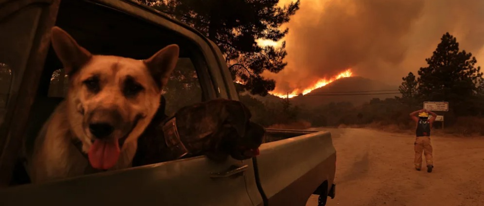 Spenden sammeln | Fire in losangeles | Spendenseite