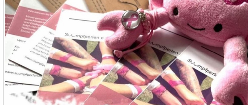 Spenden sammeln | Wir brauchen Unterstützung beim Wurfmaterial | Spendenseite