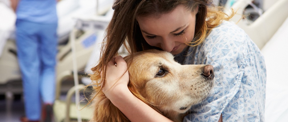 Spenden sammeln | Kinderwunsch bleibt unerfüllt Therapiehund hilft | Spendenseite