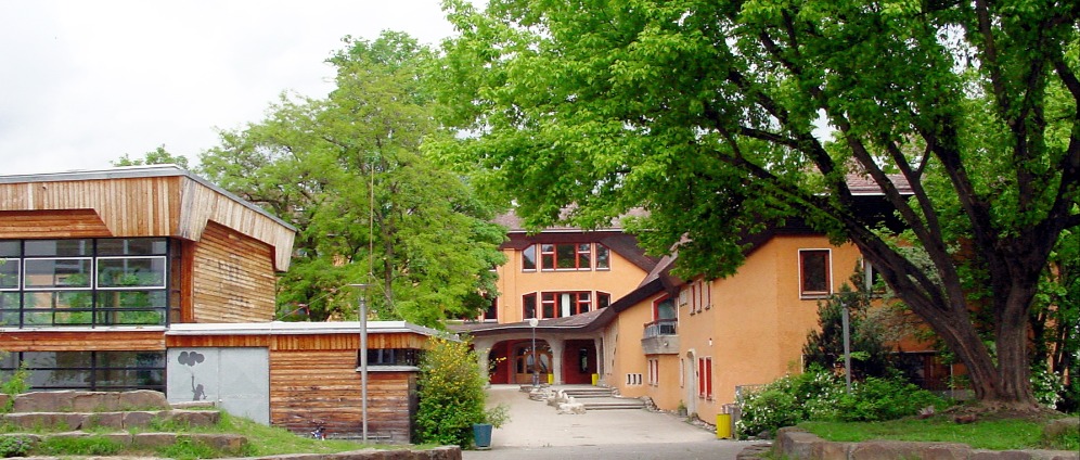 Spenden sammeln | Rettet die freie Bildung | Spendenseite