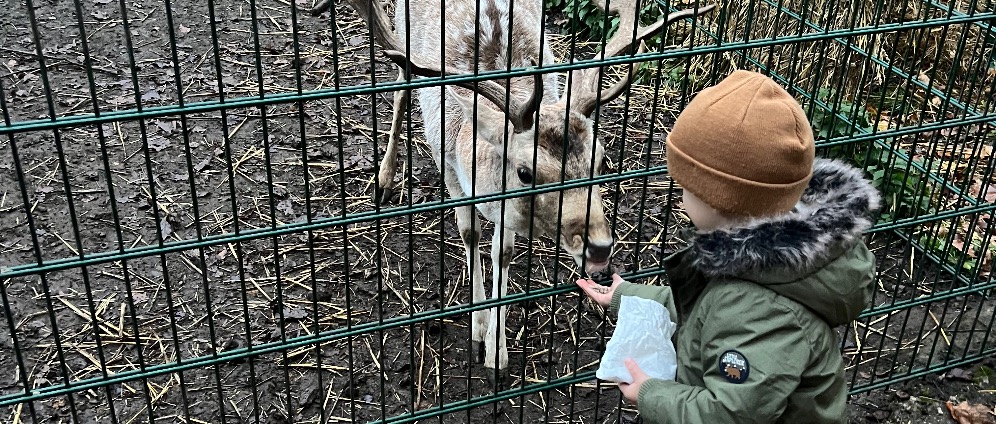 Spenden sammeln | Familienhilfe | Spendenseite