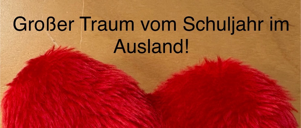 Spenden sammeln | Ein Schuljahr im Ausland | Spendenseite