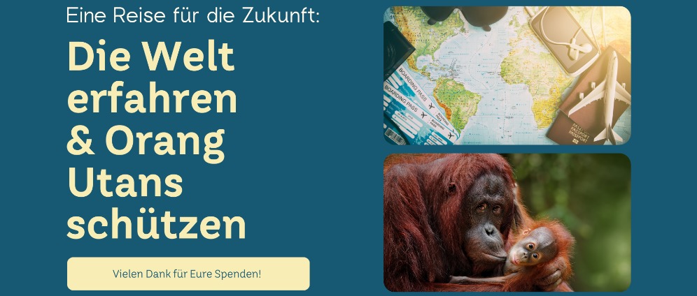 Spenden sammeln | Die Welt erfahren und Orang Utans helfen | Spendenseite