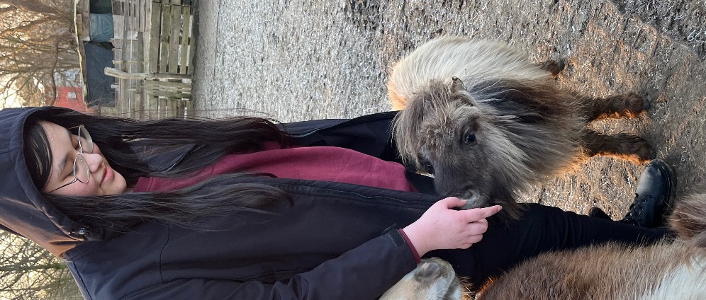 Spenden sammeln | Autistische Tochter braucht ihr Pony | Spendenseite