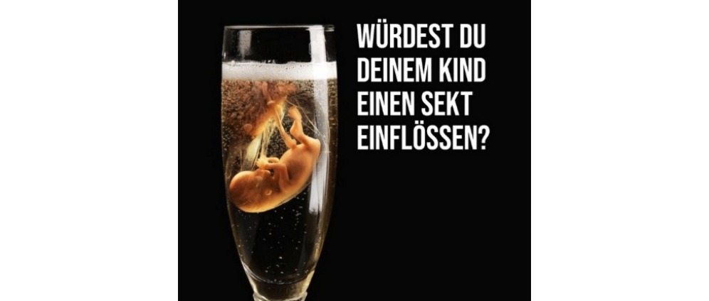 Spenden sammeln | Fachkraft für FASD | Spendenseite