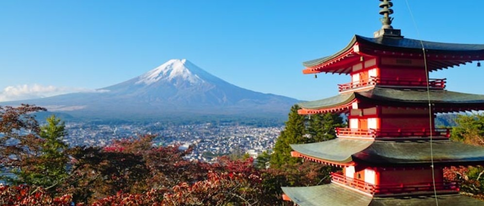 Spenden sammeln | Ein Lebenstraum Japan besuchen | Spendenseite