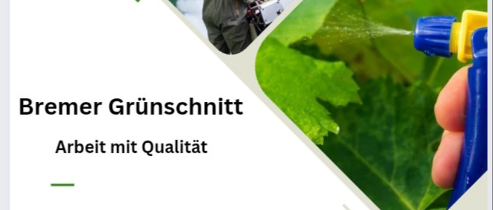 Spenden sammeln | Selbständigkeit | Spendenseite