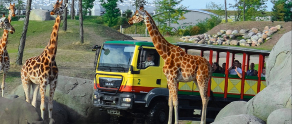 Spenden sammeln | Wild Lands Emmen Tierpark | Spendenseite