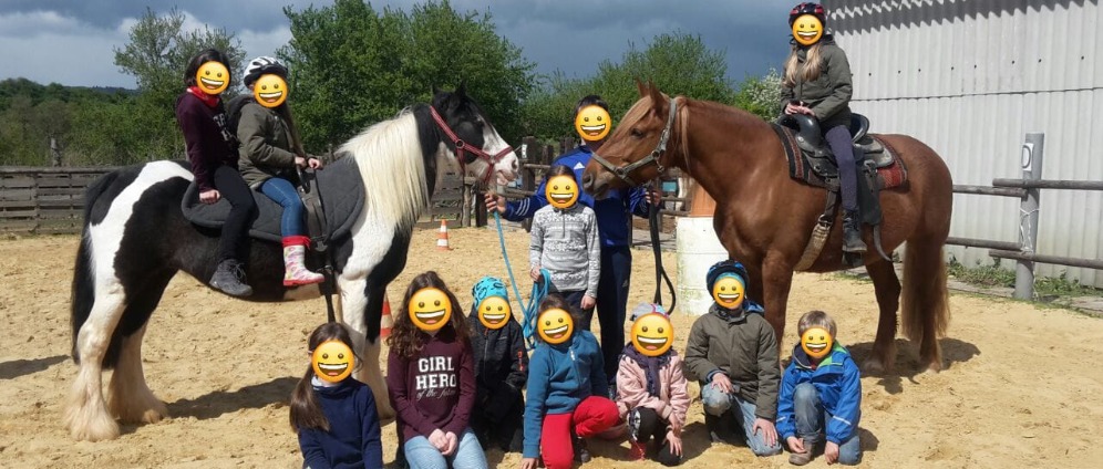 Herzensprojekt LaJuLi Ranch | Spenden sammeln