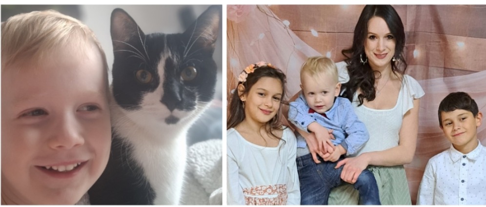 Spenden sammeln | Hilfe für Kater Rio und alleinerziehende Mama | Spendenseite