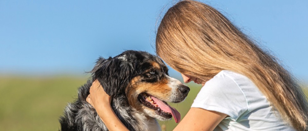 Spenden sammeln | Mit Assistenzhund zurück ins Arbeitsleben | Spendenseite