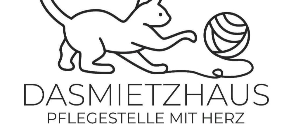 Spenden sammeln | Katzenhilfe | Spendenseite