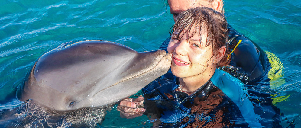 Spenden sammeln | Delfintherapie für Anastasia | Spendenseite