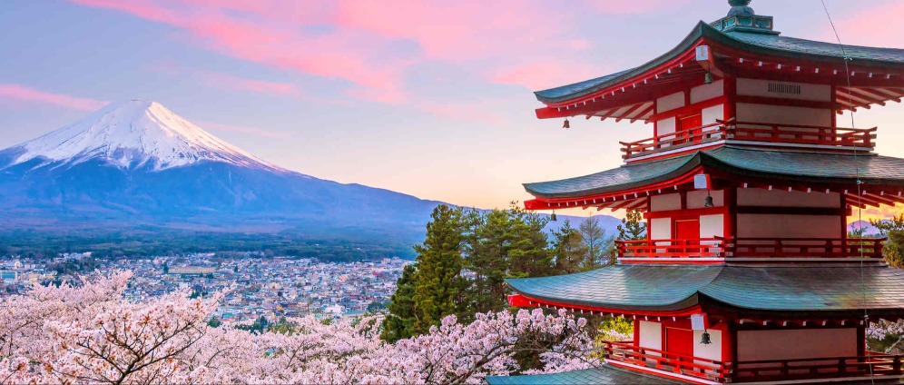 Spenden sammeln | Lebenstraum Japan Reise | Spendenseite