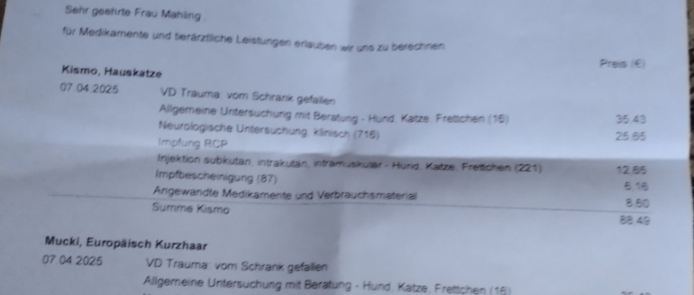 Spenden sammeln | Hilfe für Katzen Tier Arzt Rechnung | Spendenseite