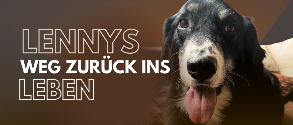 Spenden sammeln | Lennys weg zurück ins Leben | Spendenseite