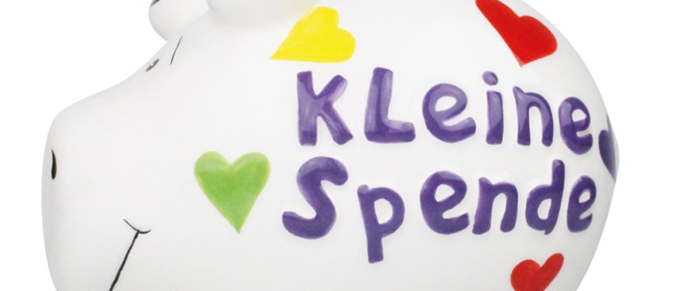 Spenden sammeln | Unterstützung für Hunde OP | Spendenseite