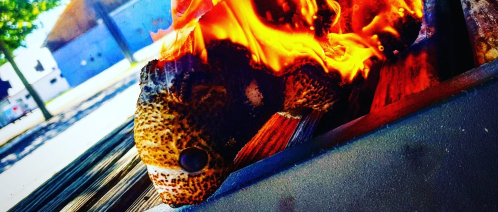 Spenden sammeln | Fire | Spendenseite