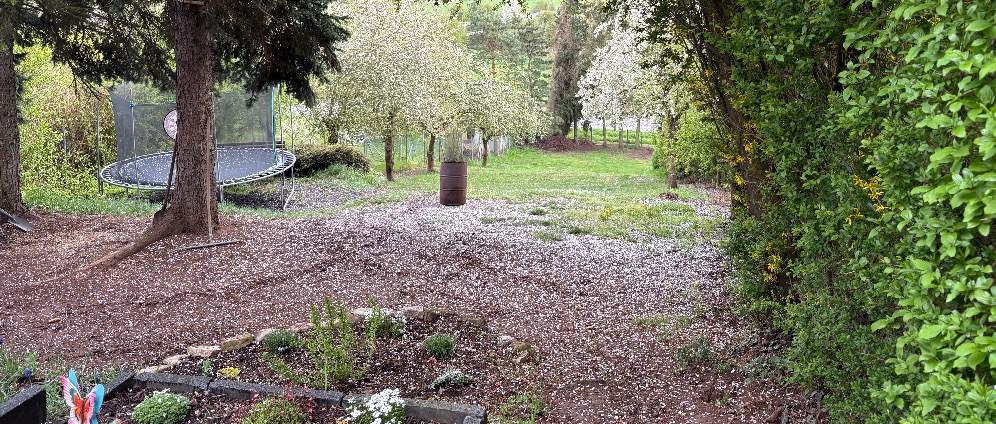 Spenden sammeln | Minibagger für Garten Umbau | Spendenseite
