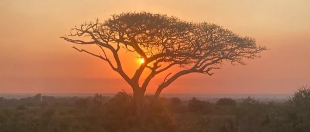 Spenden sammeln | Freiwilligendienst Südafrika | Spendenseite