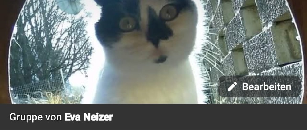 Spenden sammeln | Barther Streunerkatzen | Spendenseite