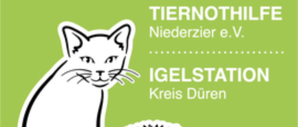 Spenden sammeln | Kleintransporter, Benziner mit Anhängerkupplung | Spendenseite