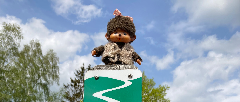 Spenden sammeln | Wandern trotz Krebs | Spendenseite