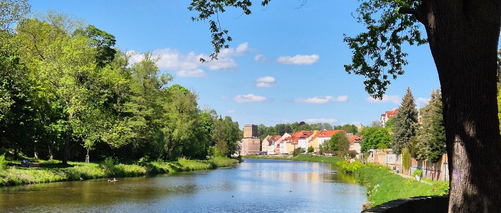 Spenden sammeln | Sauberes Görlitz | Spendenseite