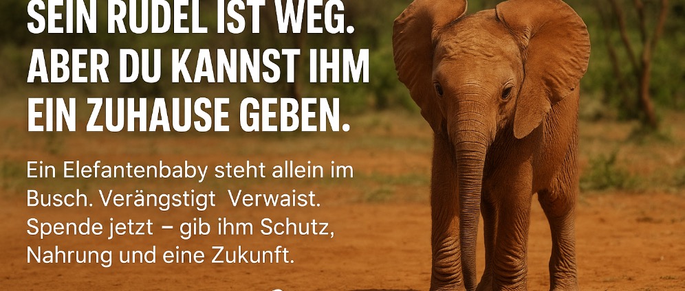 Spenden sammeln | Sein Rudel ist weg. Seine Spende rettet ihn. | Spendenseite