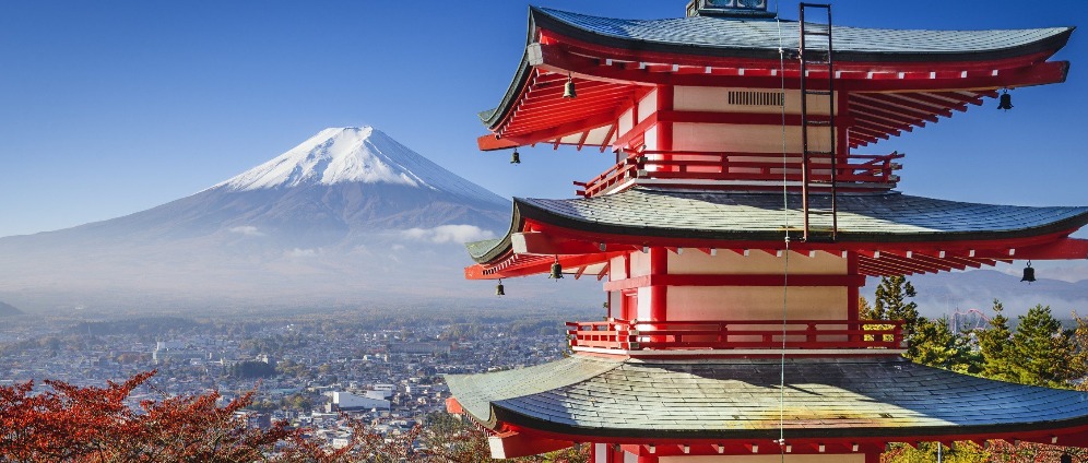 Spenden sammeln | Reise nach Japan | Spendenseite