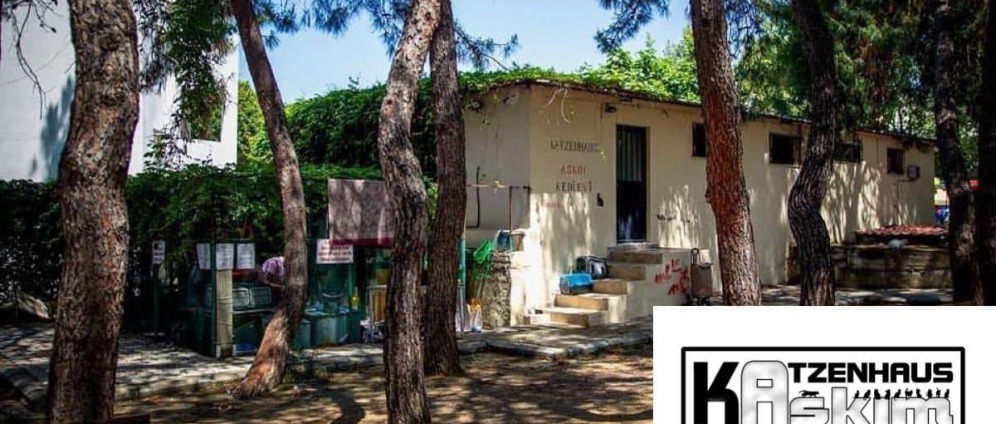 Spenden sammeln | Tierhilfe Katzenhaus Avsallar | Spendenseite