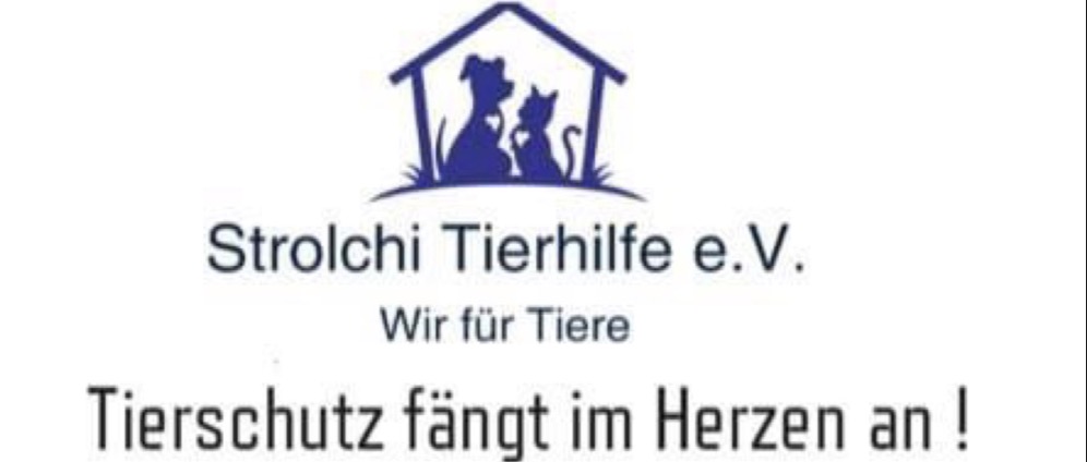 Spenden sammeln | Hilfe für unsere Katzen | Spendenseite