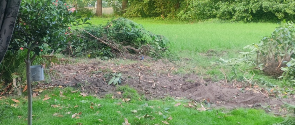 Spenden sammeln | Gartenrückbau | Spendenseite