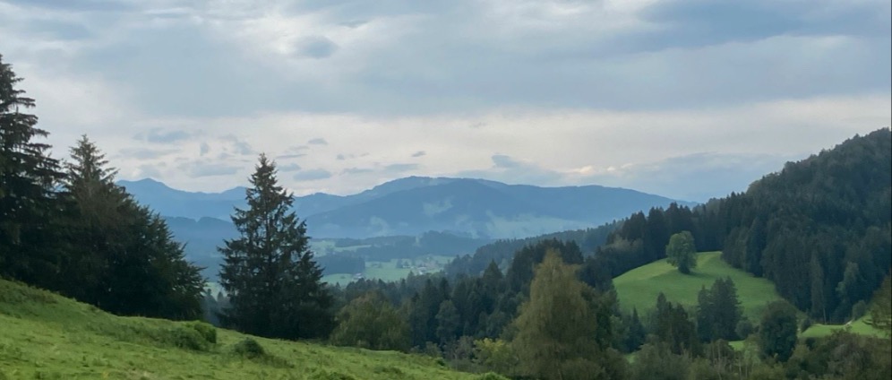 Spenden sammeln | Aktion Schutzwald im Allgäu | Spendenseite