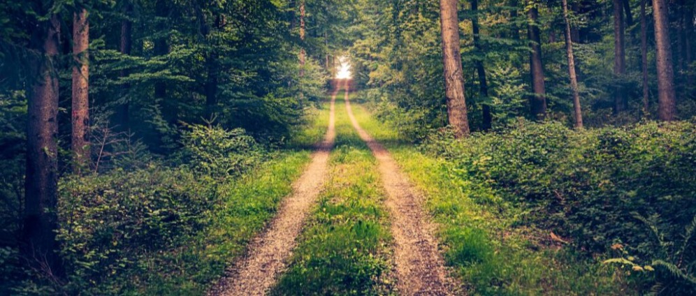 Spenden sammeln | Natur ,Umwelt ,und Tier Schutz | Spendenseite